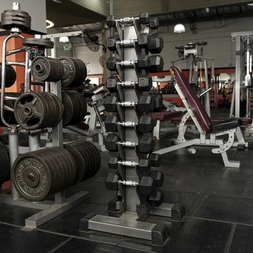 Musculacion (1)
