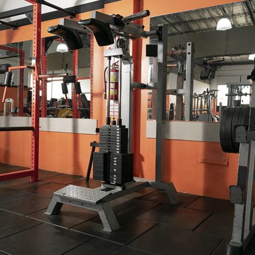 Musculacion (10)