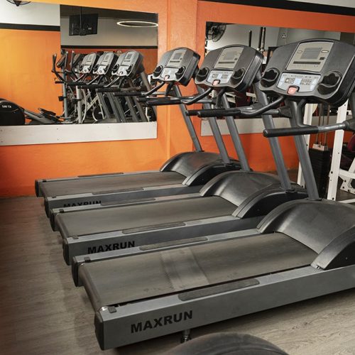 Musculacion (12)