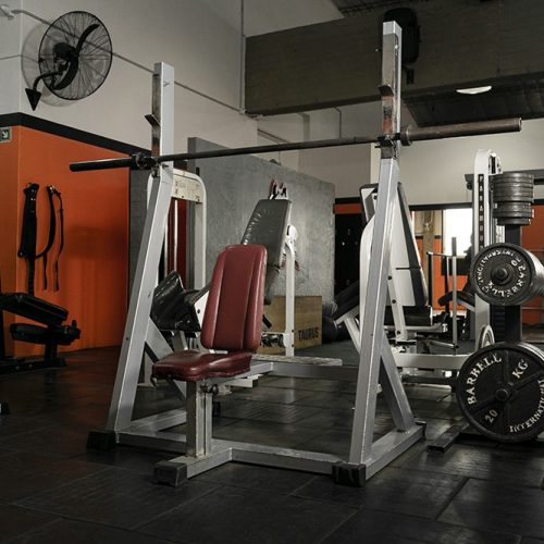 Musculacion (18)