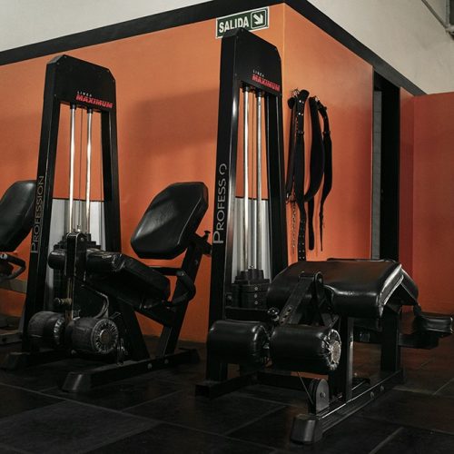 Musculacion (2)