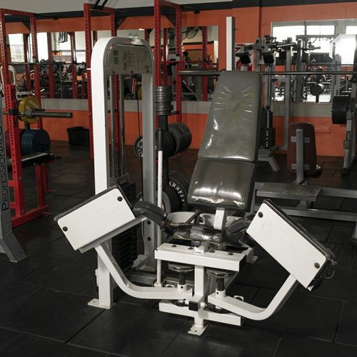 Musculacion (20)