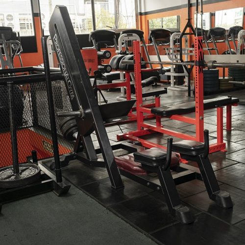 Musculacion (23)