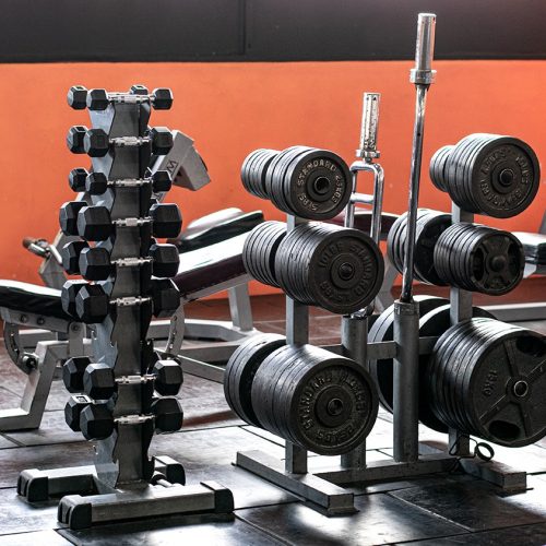 Musculacion (26)
