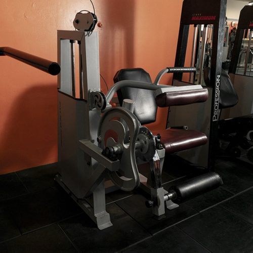Musculacion (3)