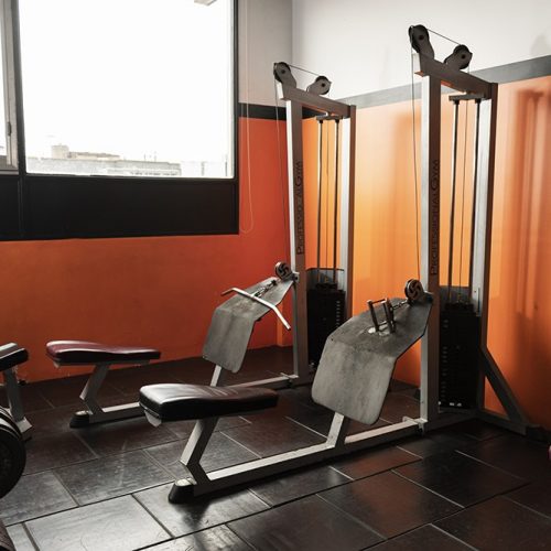 Musculacion (31)