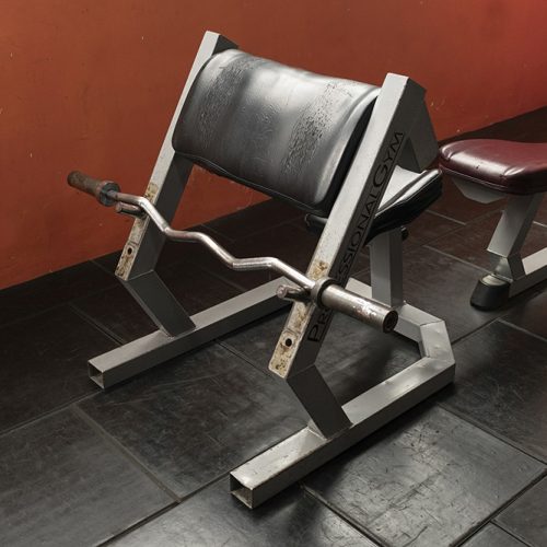 Musculacion (32)