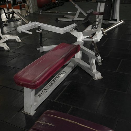 Musculacion (34)