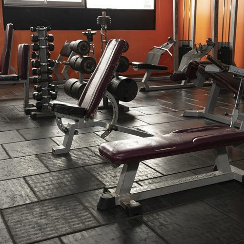 Musculacion (35)