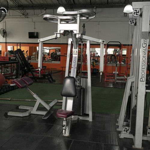 Musculacion (36)