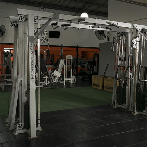Musculacion (37)