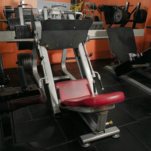Musculacion (7)